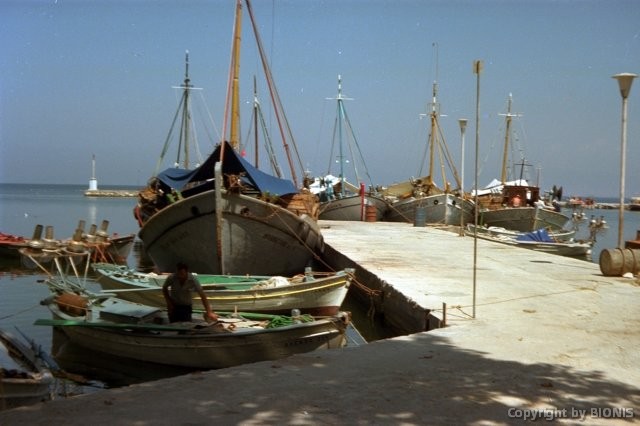 alterfischerhafen.jpg